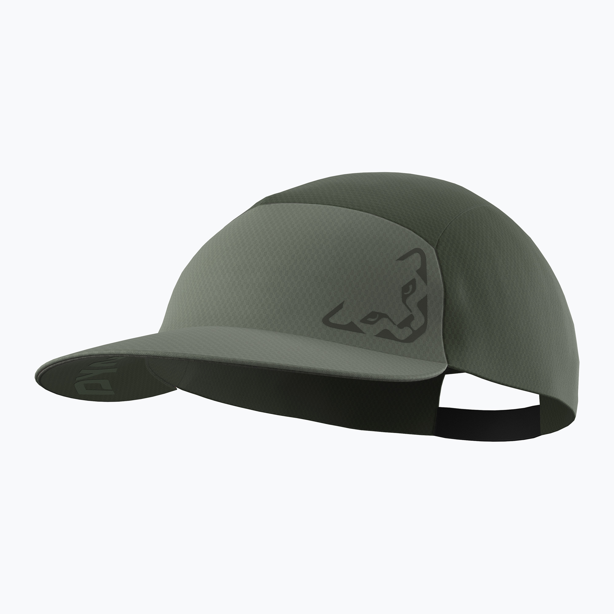 Cappello da baseball DYNAFIT Alpine Visor salvia (Alpine Visor 08-0000071470)