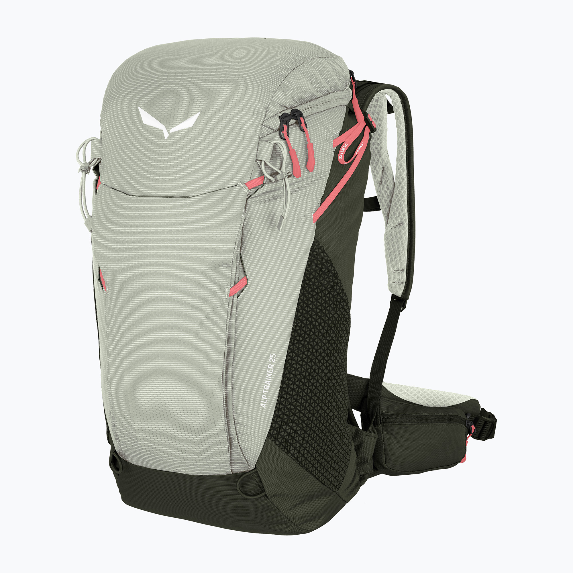Zaino da trekking Salewa Alp Trainer 25 l ombra/oliva scura (25 l) (Alp Trainer 25 00-0000001230)