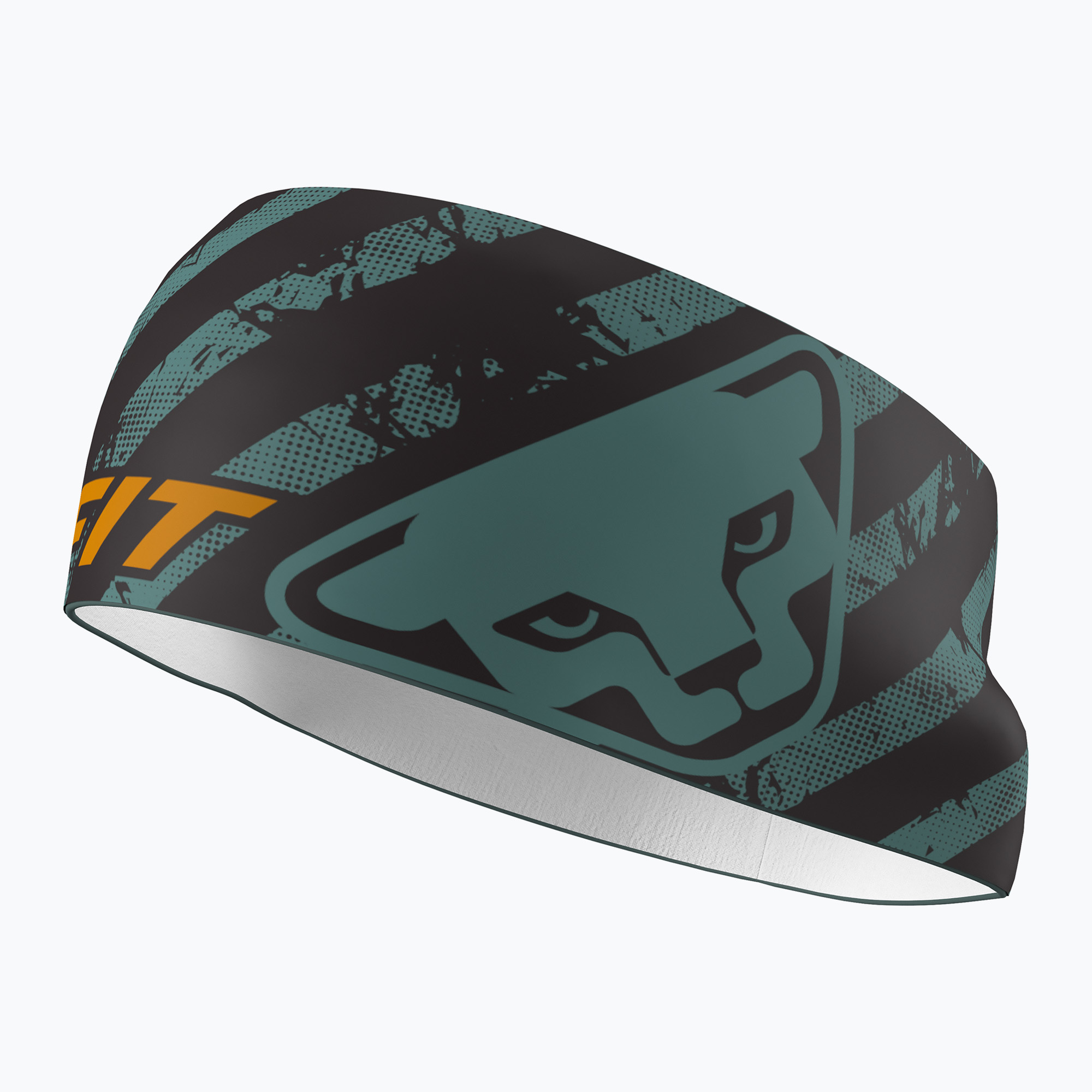 Fascia DYNAFIT Graphic Performance atlantic/trail