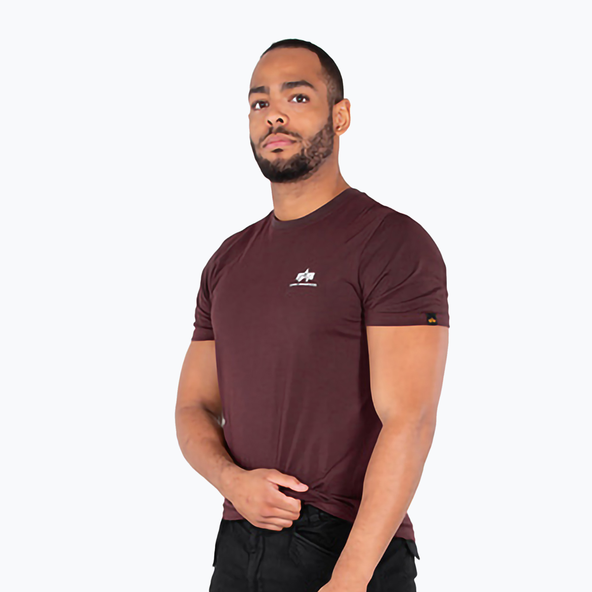 T-shirt Alpha Industries Basic Small Logo deep maroon da uomo