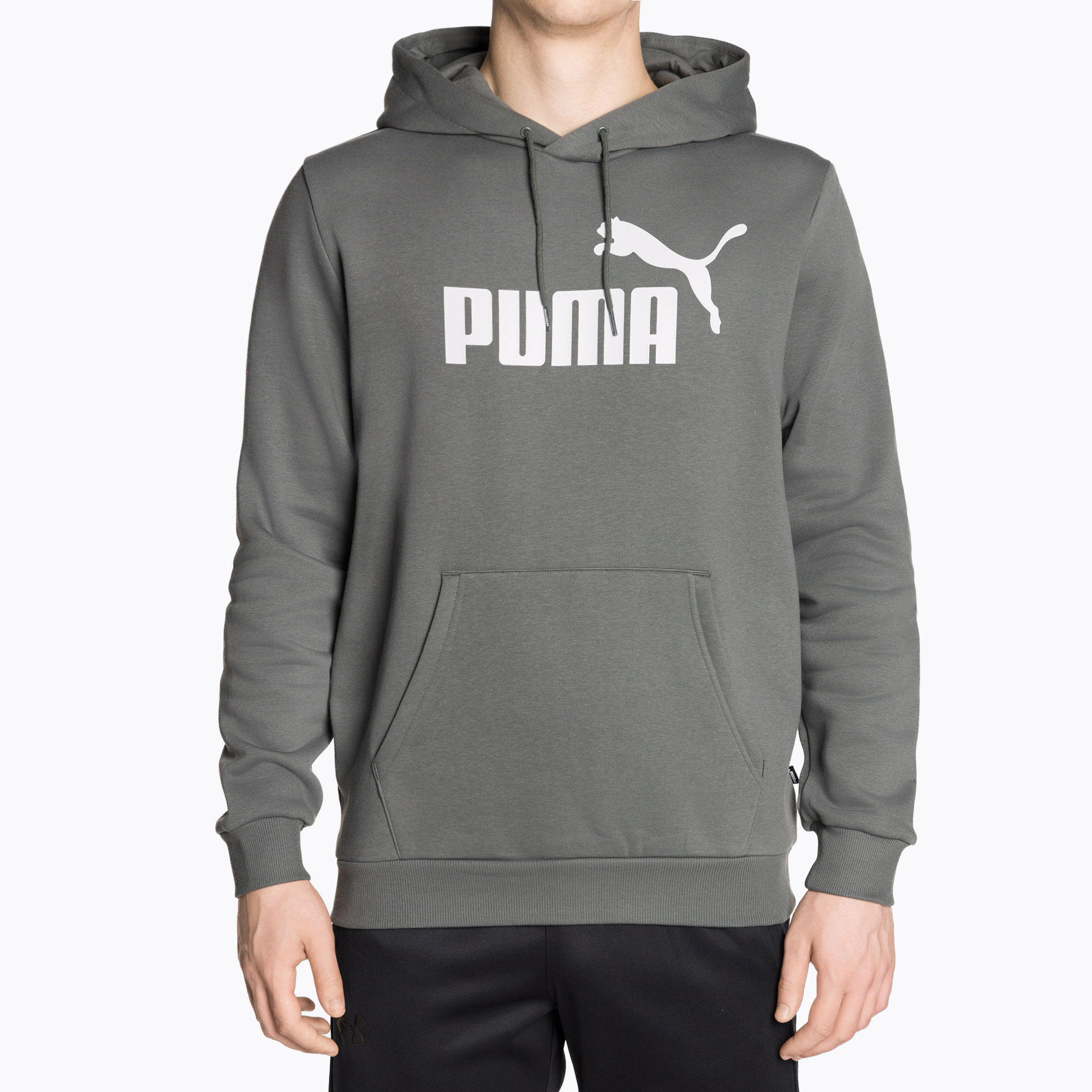 Felpa da uomo con cappuccio PUMA Essentials Big Logo FL mineral gray (L) (Essentials Big Logo Hoodie FL 586687)