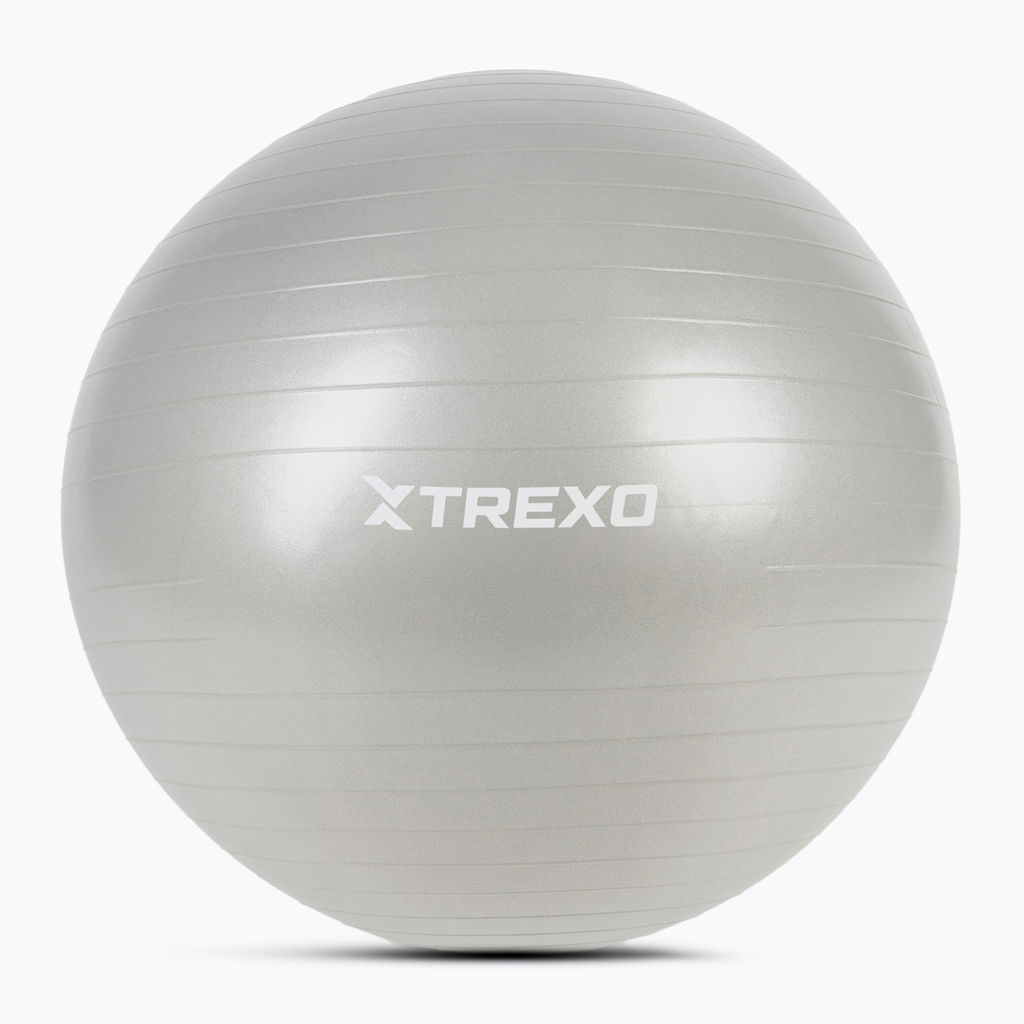 TREXO Gymball TXO-B4Z009-GY 75 cm grigio (75 cm) (TXO-B4Z009-GY)