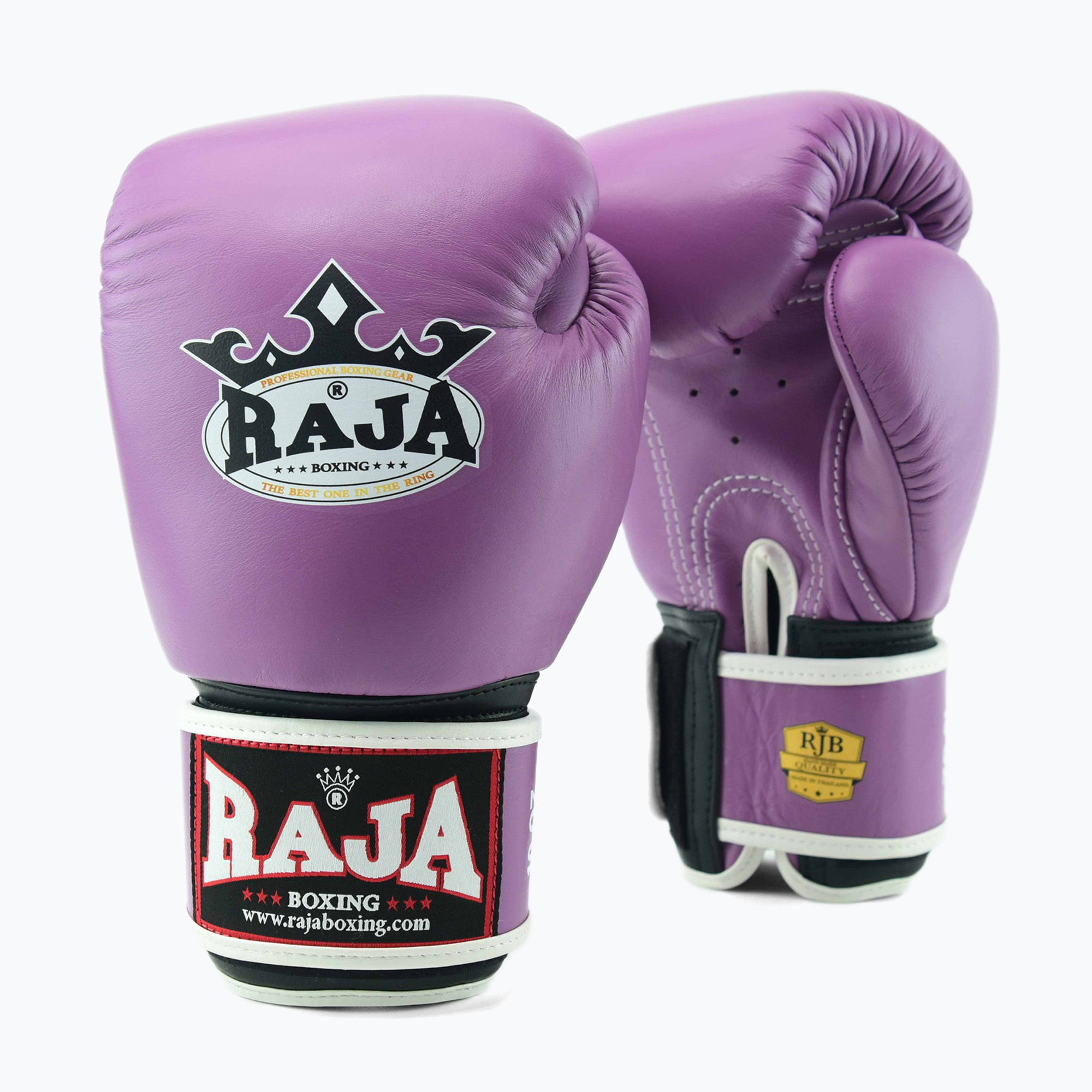 RAJA BOXING Guanti da boxe singoli standard in vera pelle viola (10 oz) (Standard Genuine Leather RBGV-GL-1-PR)