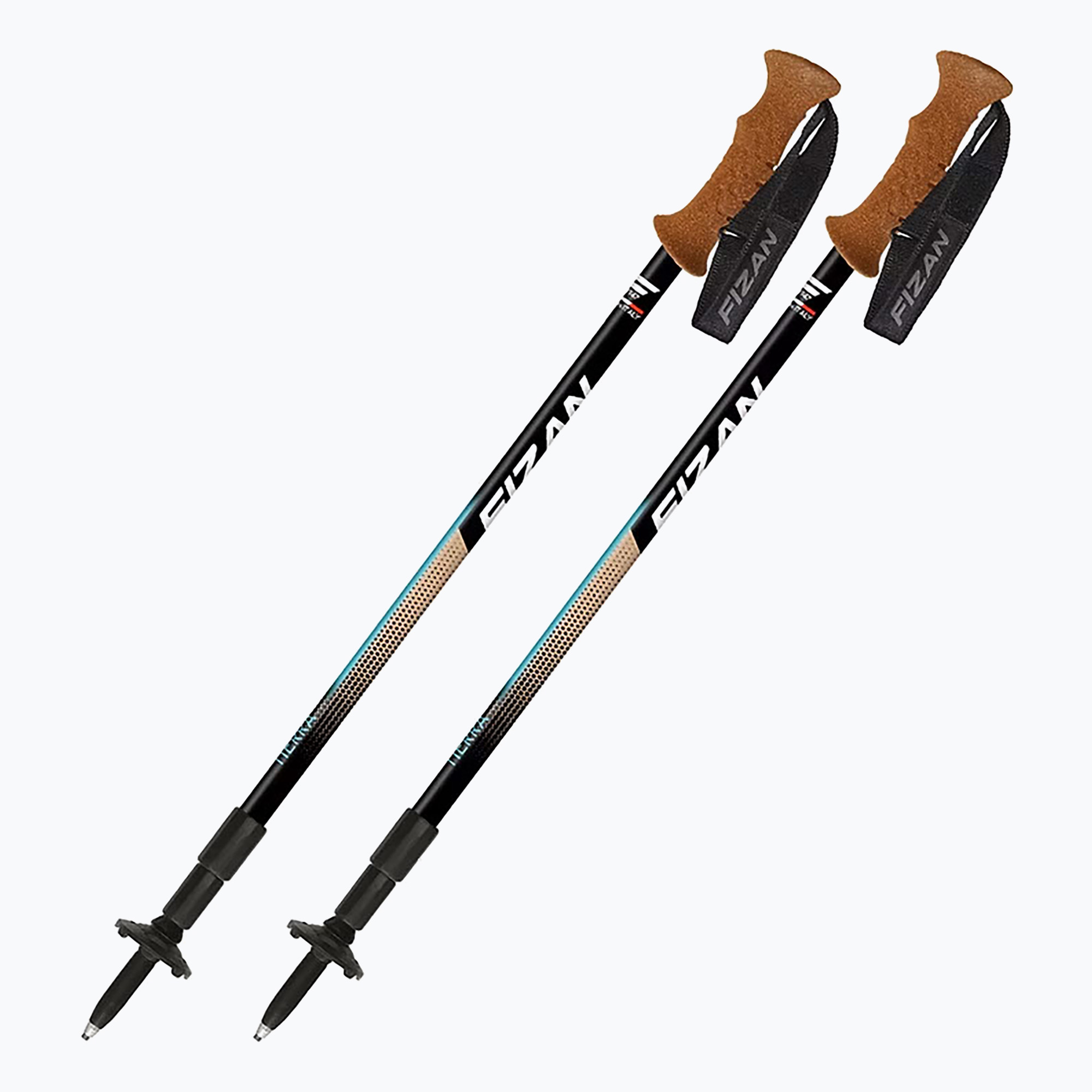 Bastoncini da trekking Fizan Tierra beige/verde acqua (63-140 cm) (Tierra 100020)
