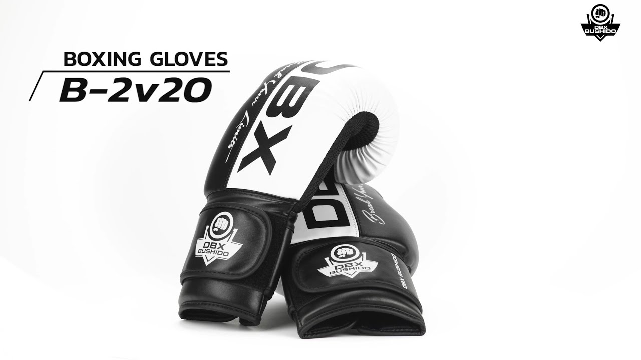 DBX BUSHIDO B-2V20 Guanti da sparring Active Clima