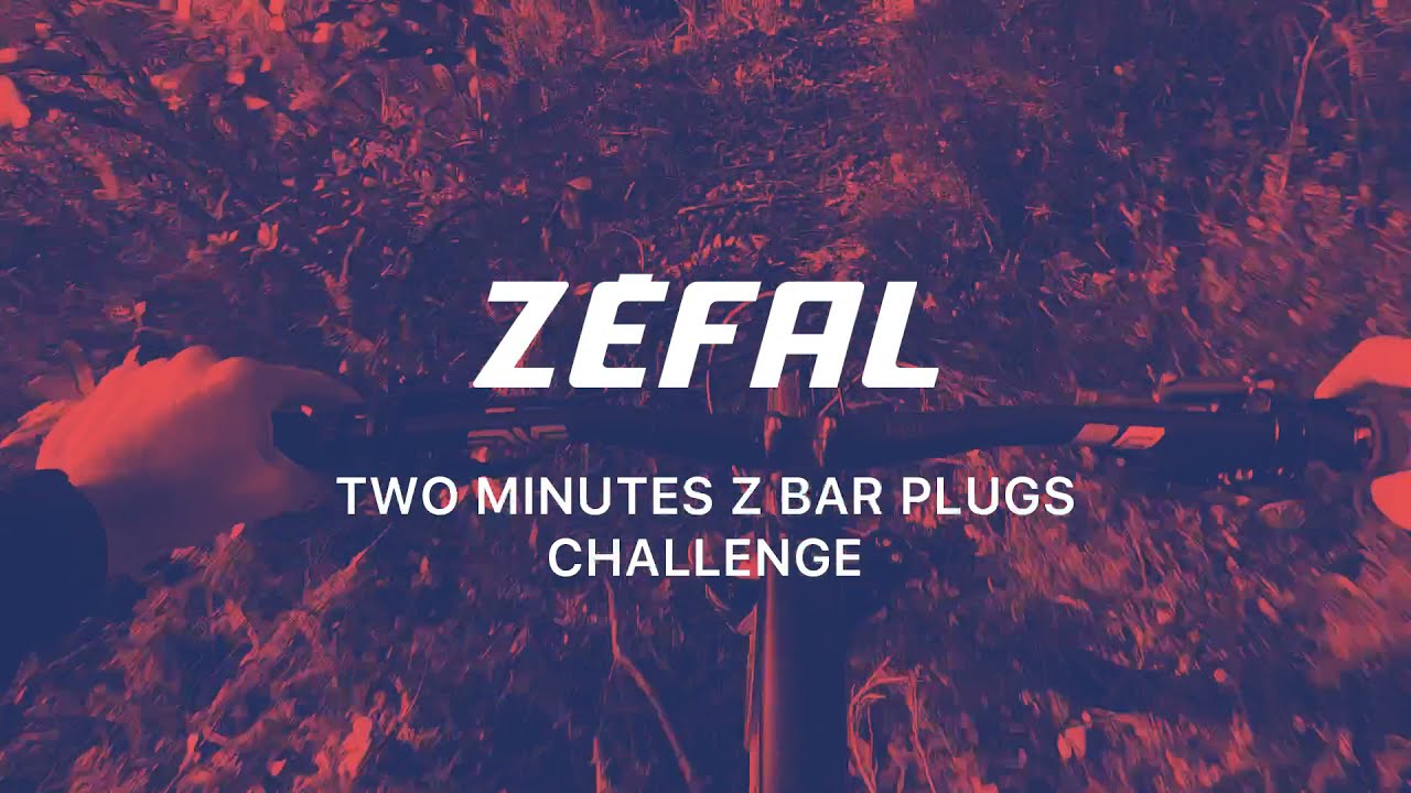 Kit di riparazione per tubeless Zefal Z Bar Plugs