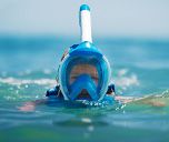 Immersioni e snorkeling