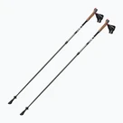 Bastoncini nordic walking