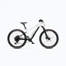Bici elettriche