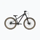 Bici ragazzi