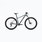 Bici mountain bike