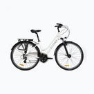 Bici da trekking